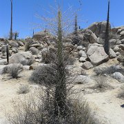 Baja2011 1069 : Baja2011